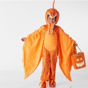 Pottery Barn Pterodactyl Costume Kids Size 4-6